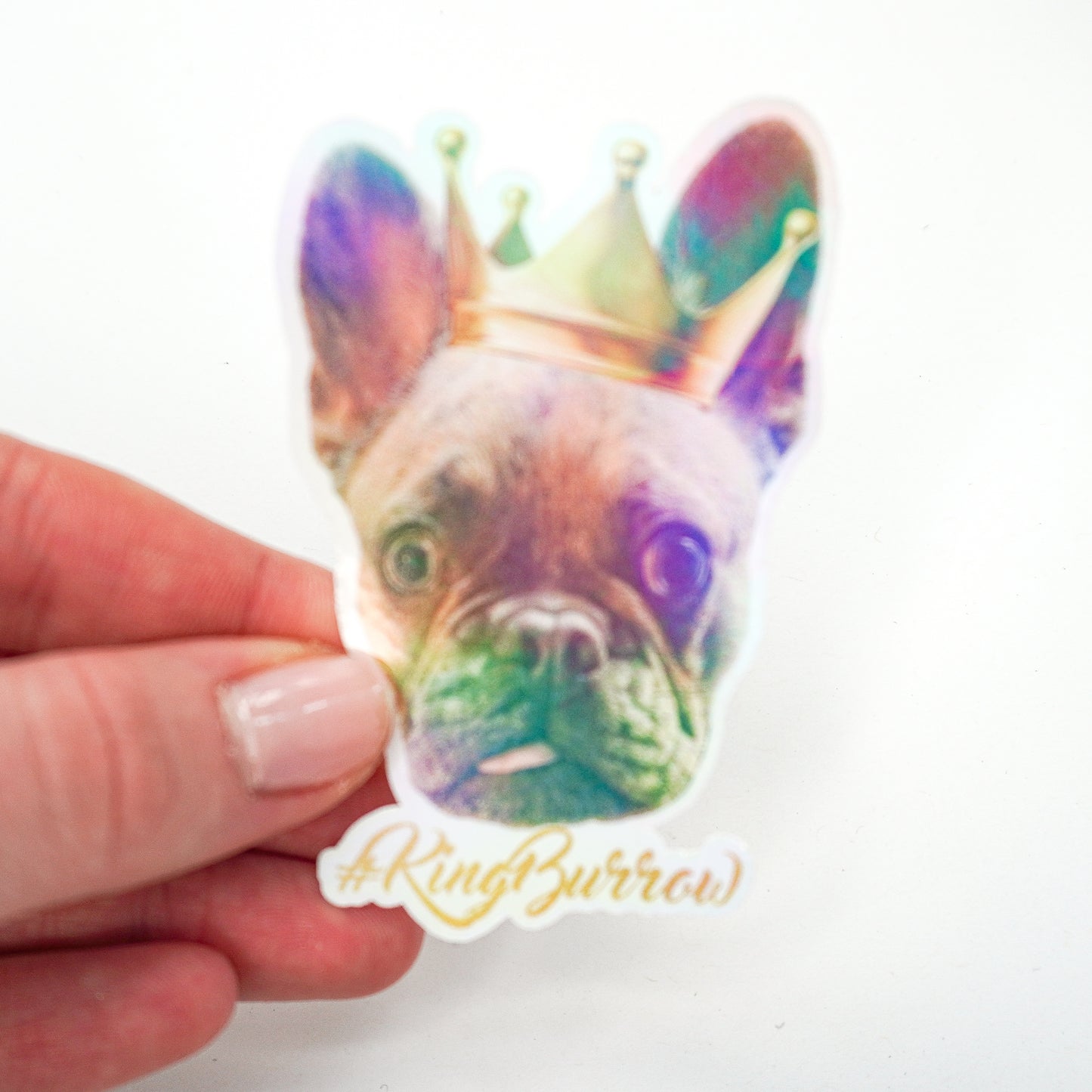 King Burrow Holographic Sticker